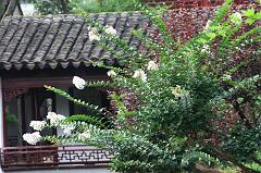 829-Hangzhou,18 luglio 2014